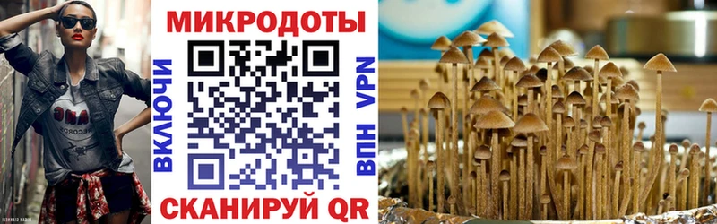 Галлюциногенные грибы MAGIC MUSHROOMS  Буинск 